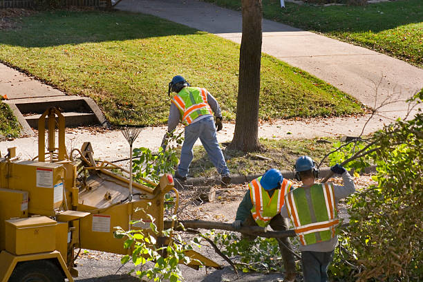 Best Seasonal Cleanup (Spring/Fall)  in Rochester, PA